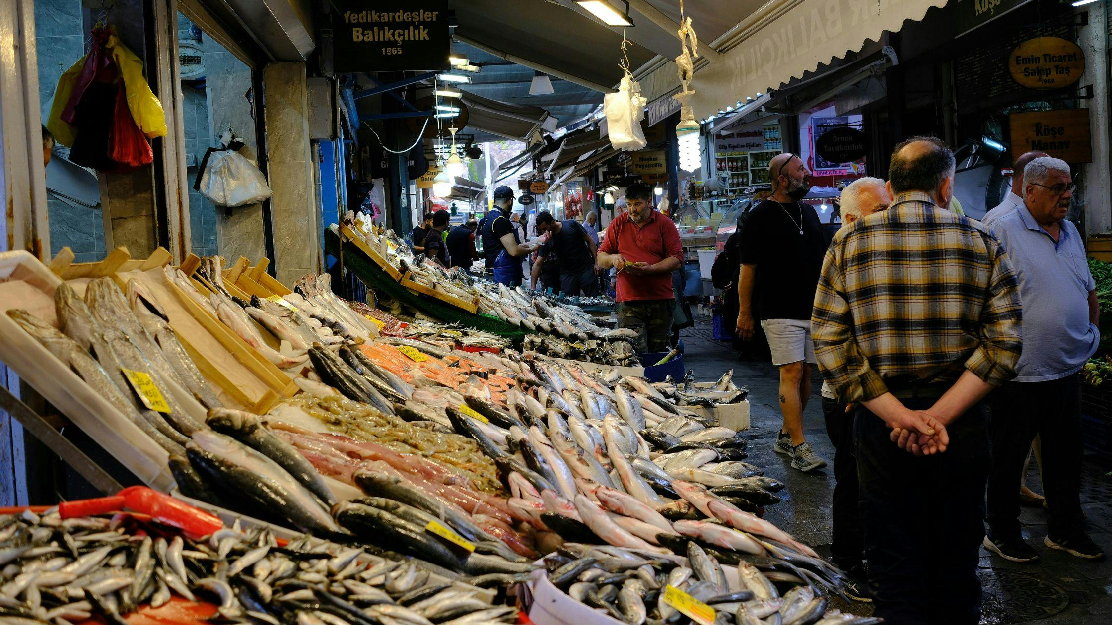 Male Fish Market – Cultural Hub